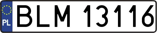 BLM13116