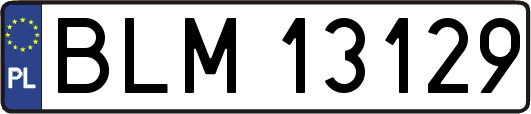BLM13129