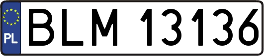 BLM13136