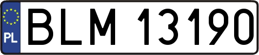 BLM13190