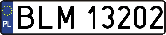 BLM13202