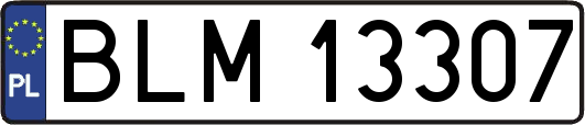 BLM13307