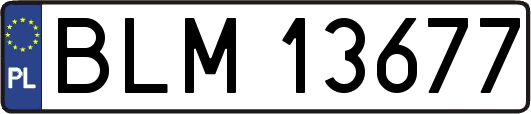 BLM13677