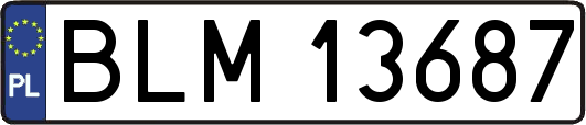 BLM13687