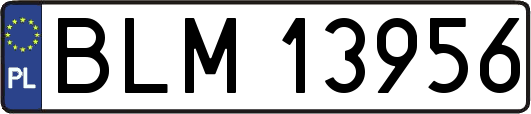 BLM13956