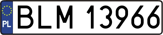 BLM13966