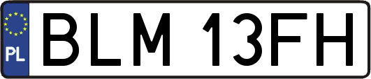 BLM13FH