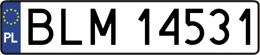 BLM14531