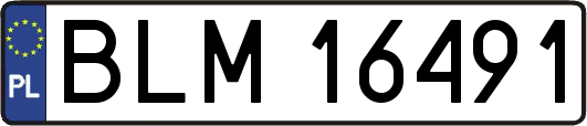 BLM16491