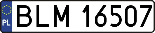 BLM16507