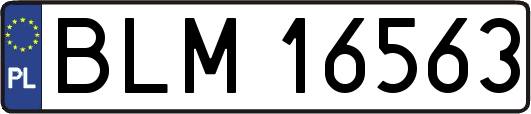 BLM16563