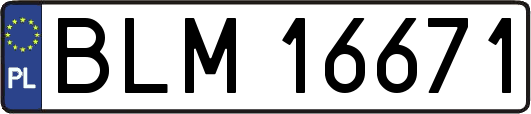 BLM16671
