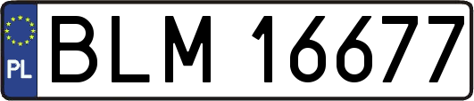 BLM16677