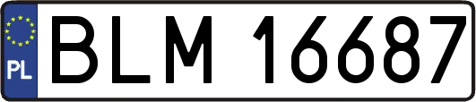 BLM16687