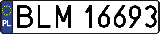BLM16693