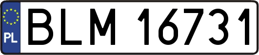 BLM16731
