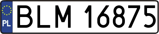 BLM16875