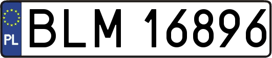 BLM16896
