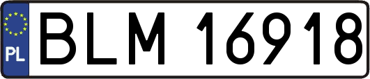 BLM16918