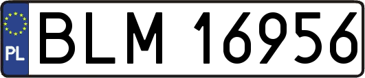 BLM16956