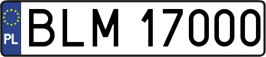 BLM17000