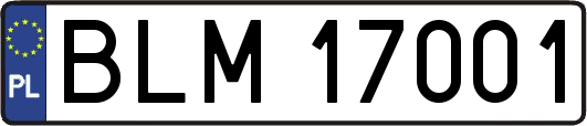 BLM17001