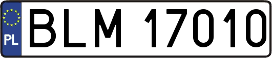 BLM17010
