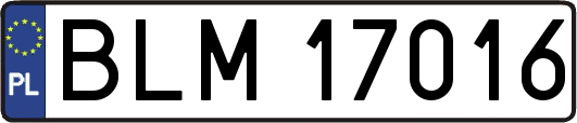BLM17016