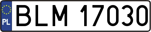 BLM17030