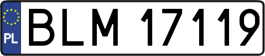 BLM17119