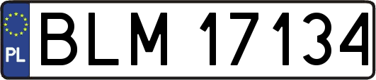 BLM17134