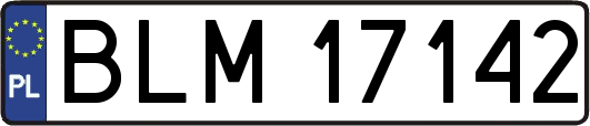 BLM17142