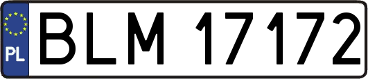 BLM17172