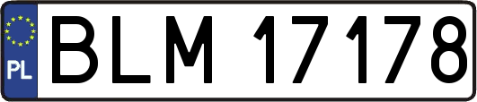 BLM17178