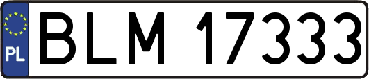 BLM17333