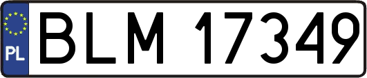 BLM17349