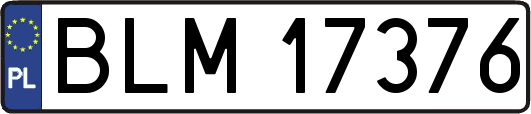 BLM17376