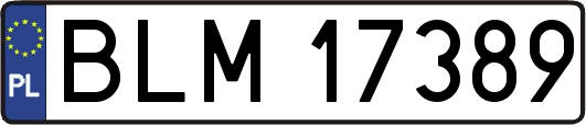 BLM17389