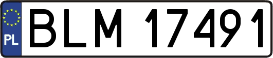 BLM17491