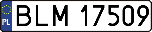 BLM17509