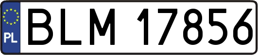 BLM17856
