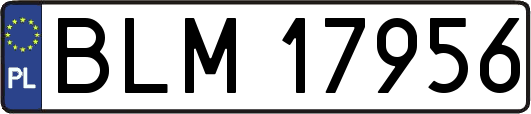BLM17956