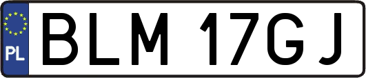 BLM17GJ