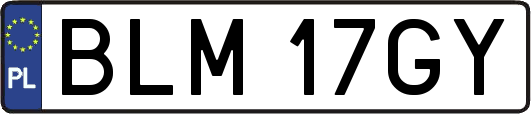 BLM17GY