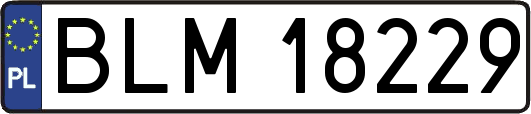 BLM18229