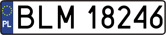 BLM18246