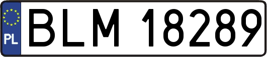 BLM18289