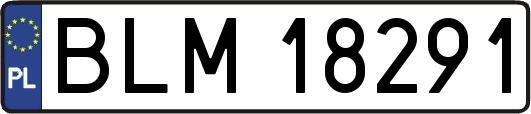 BLM18291