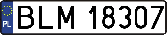 BLM18307
