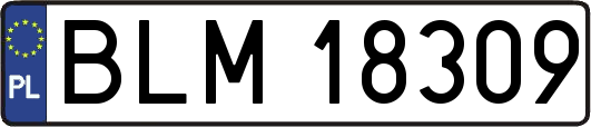 BLM18309